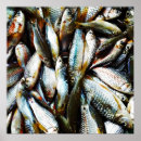 Search for freshwater fishing posters Humour