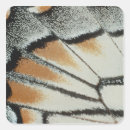 Search for colourful butterfly stickers Wildlife