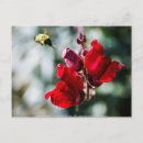 Search for nectar postcards Bee