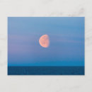 Search for far postcards Blue