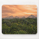 Search for grand teton national park mousepads Forest