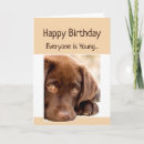 Search for funny over the hill birthday cards Old age