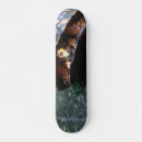 Search for turtles skateboards Nature