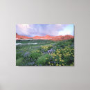 Search for howie art North america