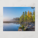 Search for minnesota state postcards Forest
