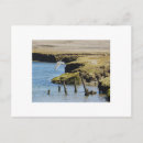 Search for colourful bird art postcards Nature