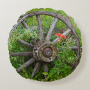 Search for danita delimont cushions British columbia