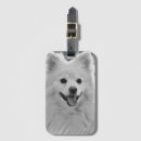Search for spitz accessories Pet