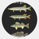 Search for walleye stickers Lure
