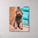 Search for admiration art Dog