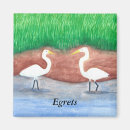Search for egrets magnets Birds
