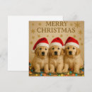 Search for golden retriever christmas cards Santa