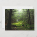 Search for forests cards Tree