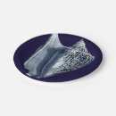 Search for shell plates Indigo