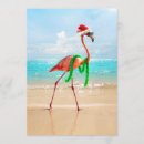 Search for flamingo beach postcards Animal