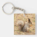 Search for nut square key rings Nature