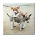 Search for puppy tiles Cute animals