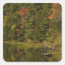 Search for np stickers Autumn