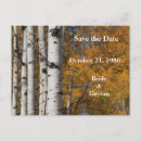 Search for bride wedding announcement cards Fall