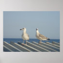 Search for skies art Seascape
