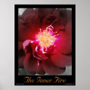 Search for inner photography Floral