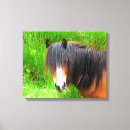 Search for horse canvas prints Animals