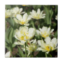 Search for painted image tiles Nature