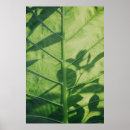 Search for tumblr posters Yellow