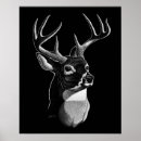 Search for scratchboard Wildlife
