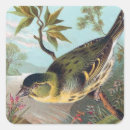 Search for vintage bird illustration stickers Birds