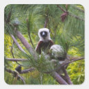 Search for keren stickers Africa