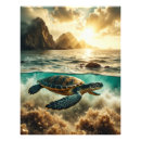 Search for painted turtle posters Wild