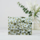 Search for shrubs postcards Green