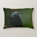 Search for asian cushions Wildlife