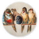 Search for bird knobs and pulls Cute