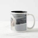 Search for water dog mugs Horizontal