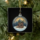 Search for hiker christmas tree decorations Nature lover