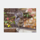 Search for squirrel doormats Photography