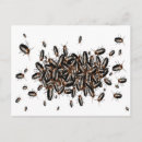 Search for roached postcards Bugs