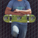 Search for cows skateboards Cattle