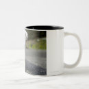 Search for west highland mugs Animals