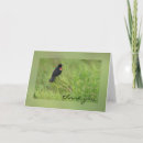 Search for blackbird cards Nature