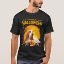 Search for hound Bassett hound
