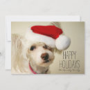 Search for chinese christmas cards No people