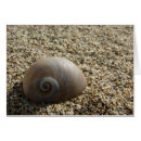 Search for sea shell cards Sand