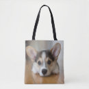 Search for corgi bags Pet