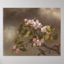 Search for hummingbird art Blossoms