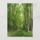 Search for versailles postcards Garden