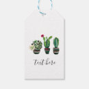 Search for cactus gift tags Fiesta