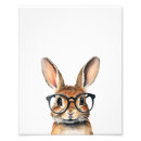 Search for bunny glasses posters Animal
